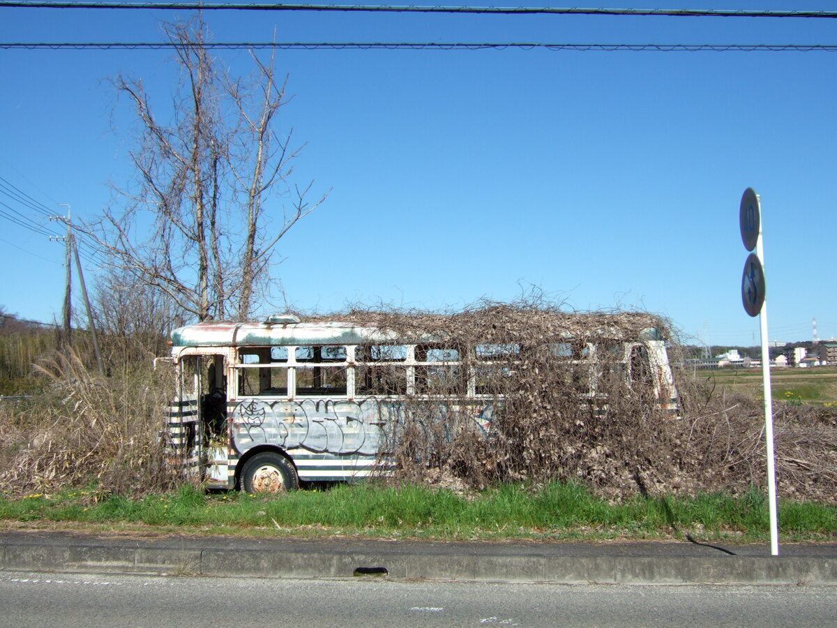 A derelict bus overgrown with brambles stands at the side of the road. It is winter, and both the brambles and a tree standing behind the bus are devoid of leaves.