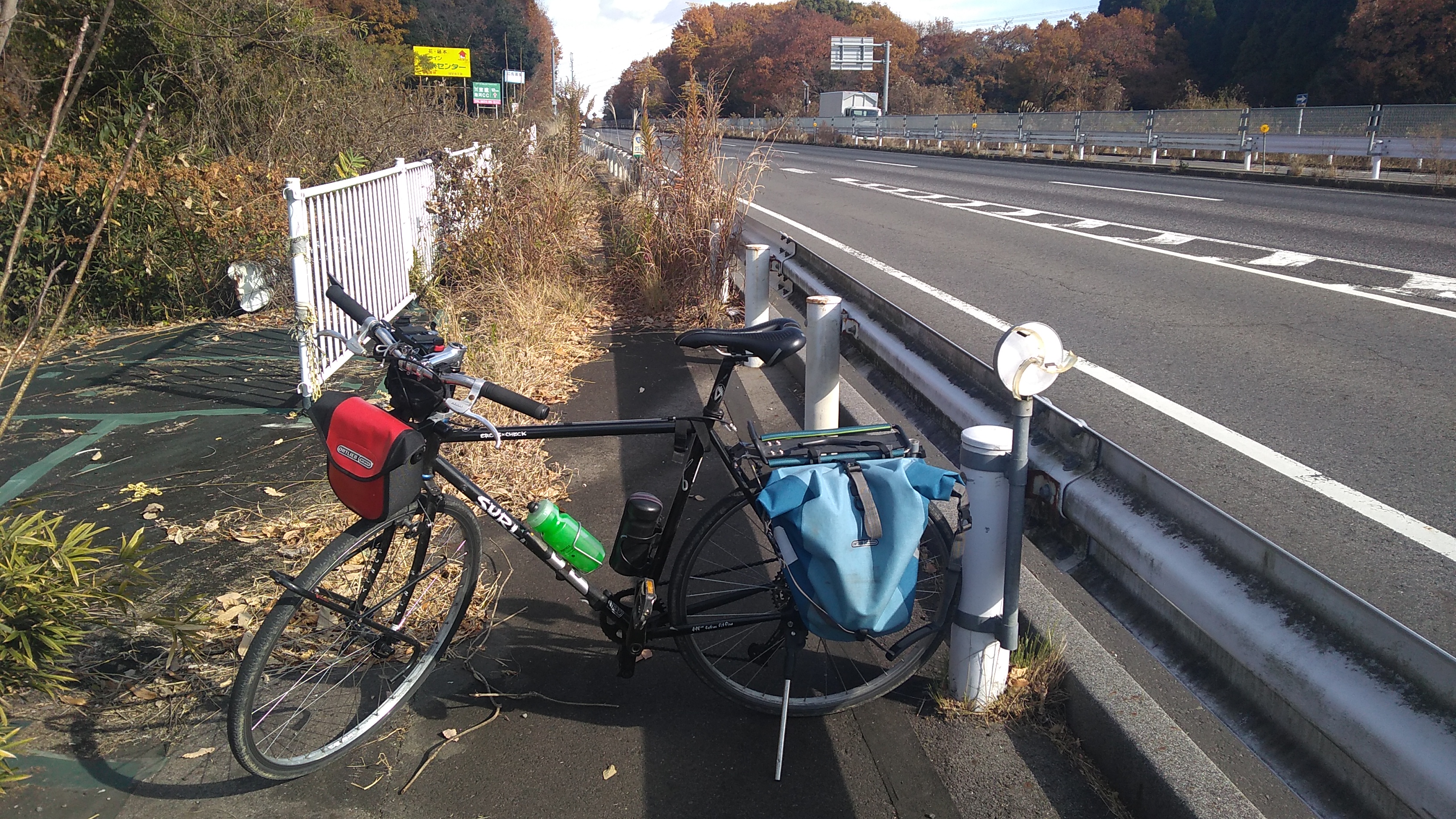 A bicycle parked in front of a path completely overgrown with tall weeds.