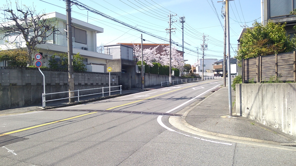 A view up a street with two square flat-roofed structures on the left side of the street followed by a group of cherry trees in bloom.