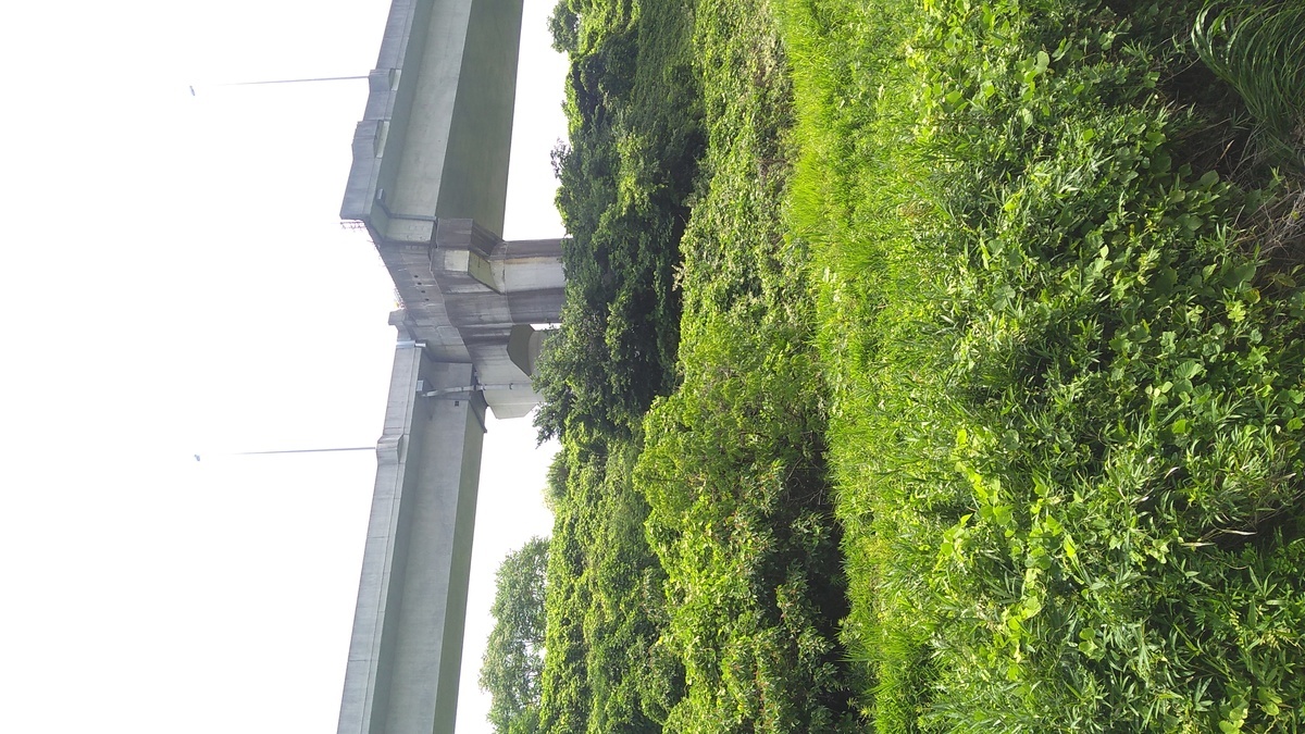 An elevated roadway that ends in midair