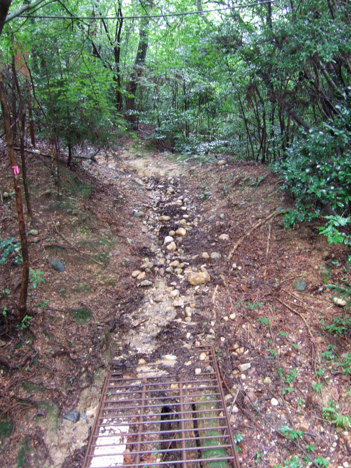 A portion of a footbridge fashioned from rebar in the foreground, leading to a footpath from which the topsoil has been washed away, exposing the large rocks of the path’s underburden beneath.