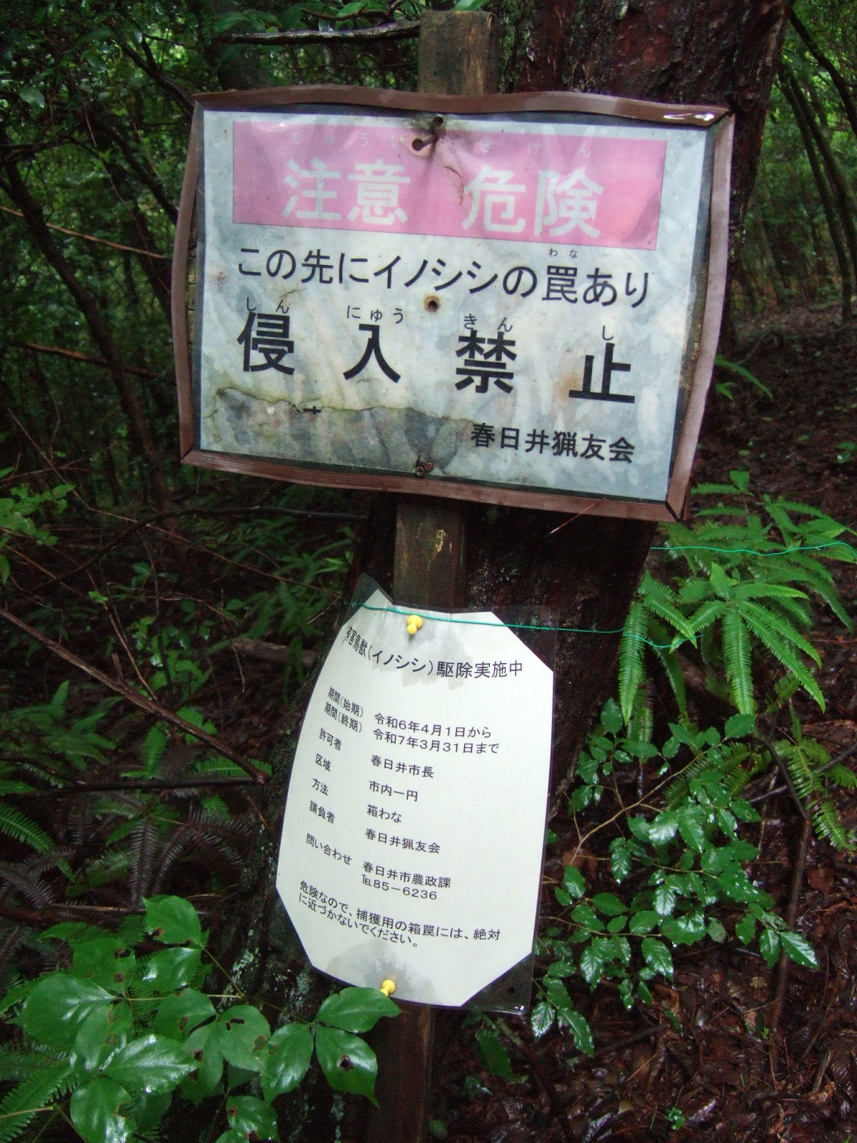 Sign reading (in English translation) “Danger / There are wild boar traps beyond this point / No trespassing / Kasugai Hunting Support Club.