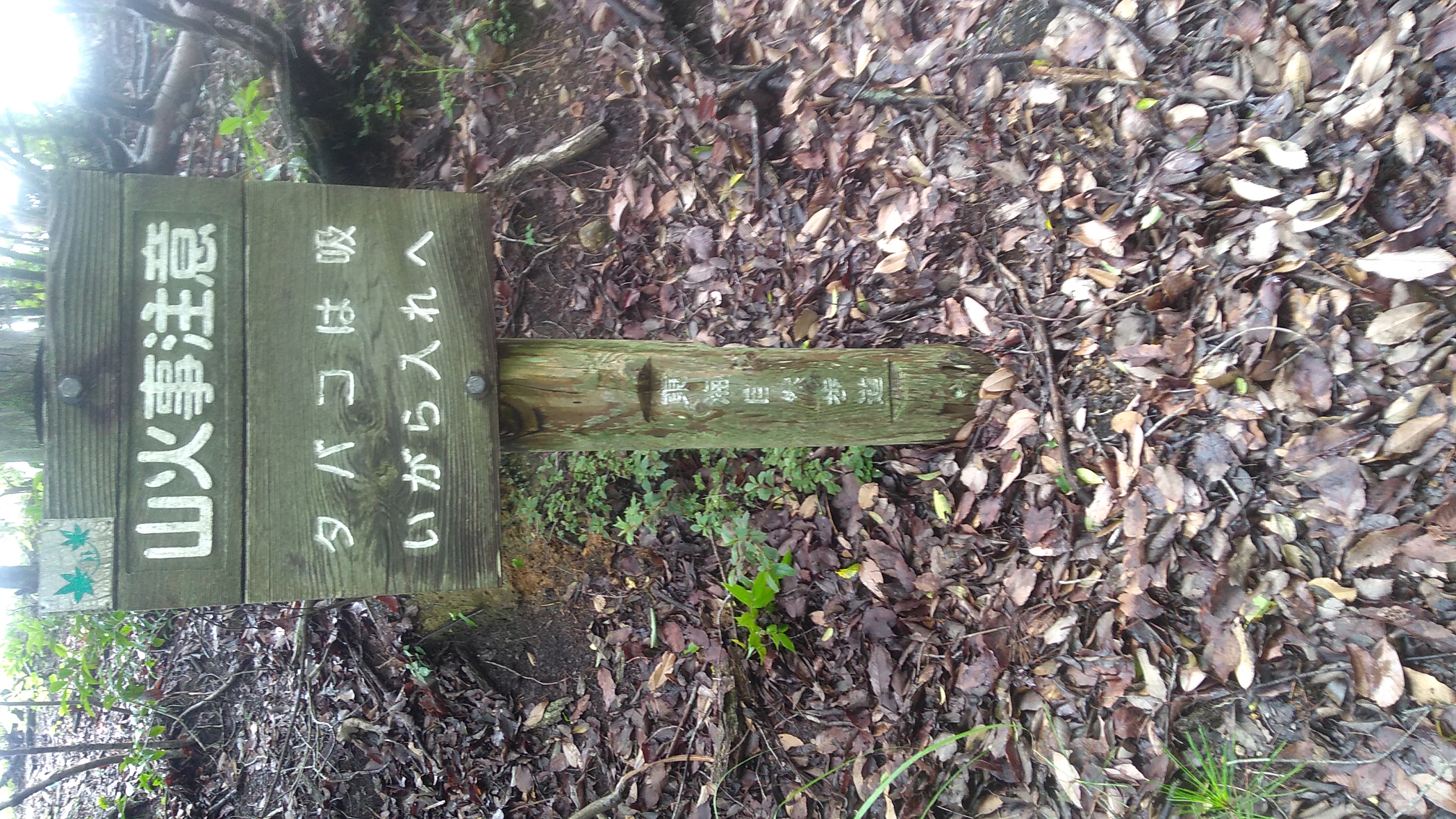 A wooden sign beside a forest footpath, standing in a carpet of dry leaves. It reads (in English translation) “Beware of mountain fires / Put cigarettes (out) in a cigarette-stub pouch”