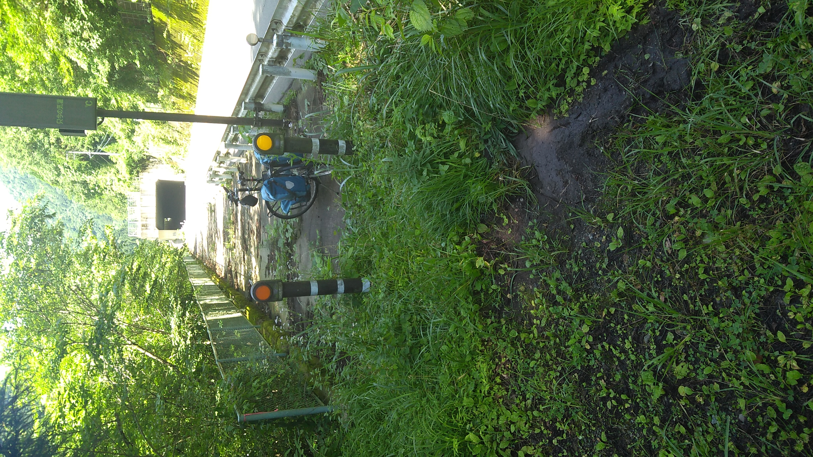 A bicycle is parked just beyond the badly weeded-over entrance to a side-path for pedestrians and bicycles leading to a tunnel. In the foreground, a rut in the mud at the entrance left by the bicycle is visible.