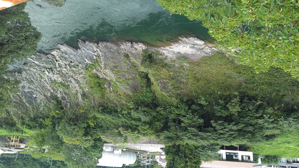 A river of crystal clear water flowing down a shallow rock-lined canyon, with dense forest encroaching on the banks at the top of the cut.