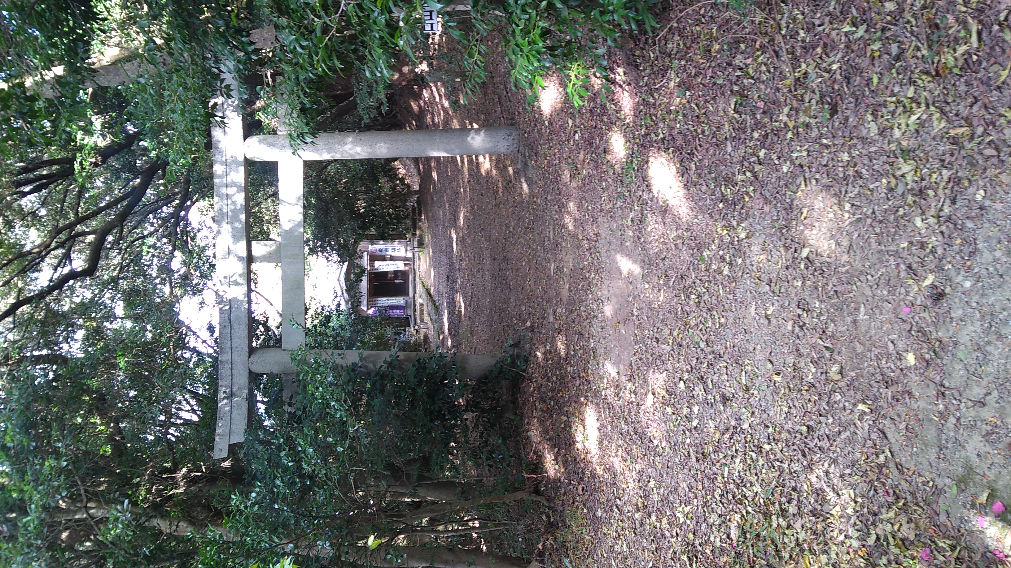 A small Buddhist temple viewed through a torii at the entrance to its grounds.