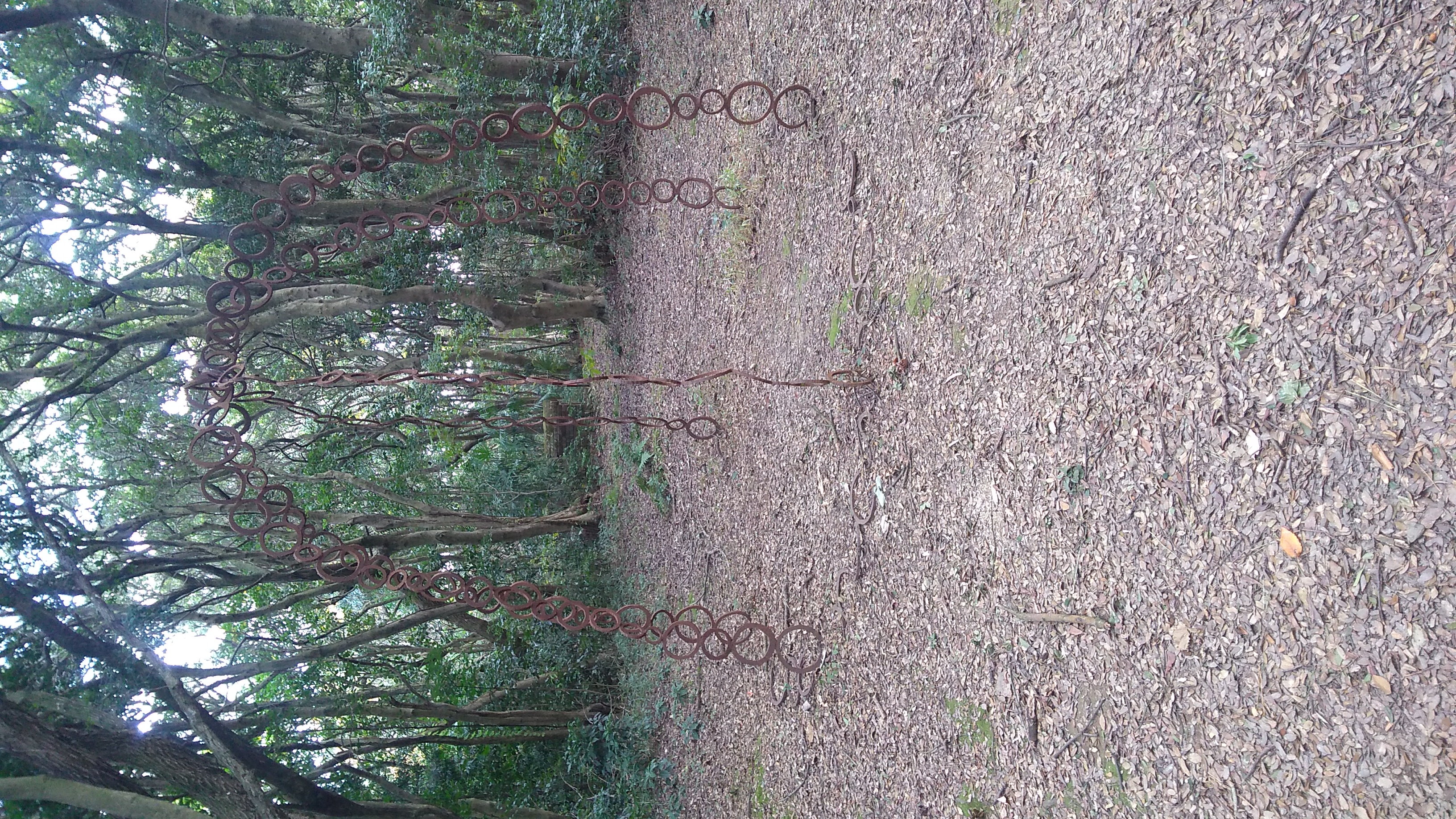 A dome-shaped lattice formed of rusted steel rings resting on the forest floor.