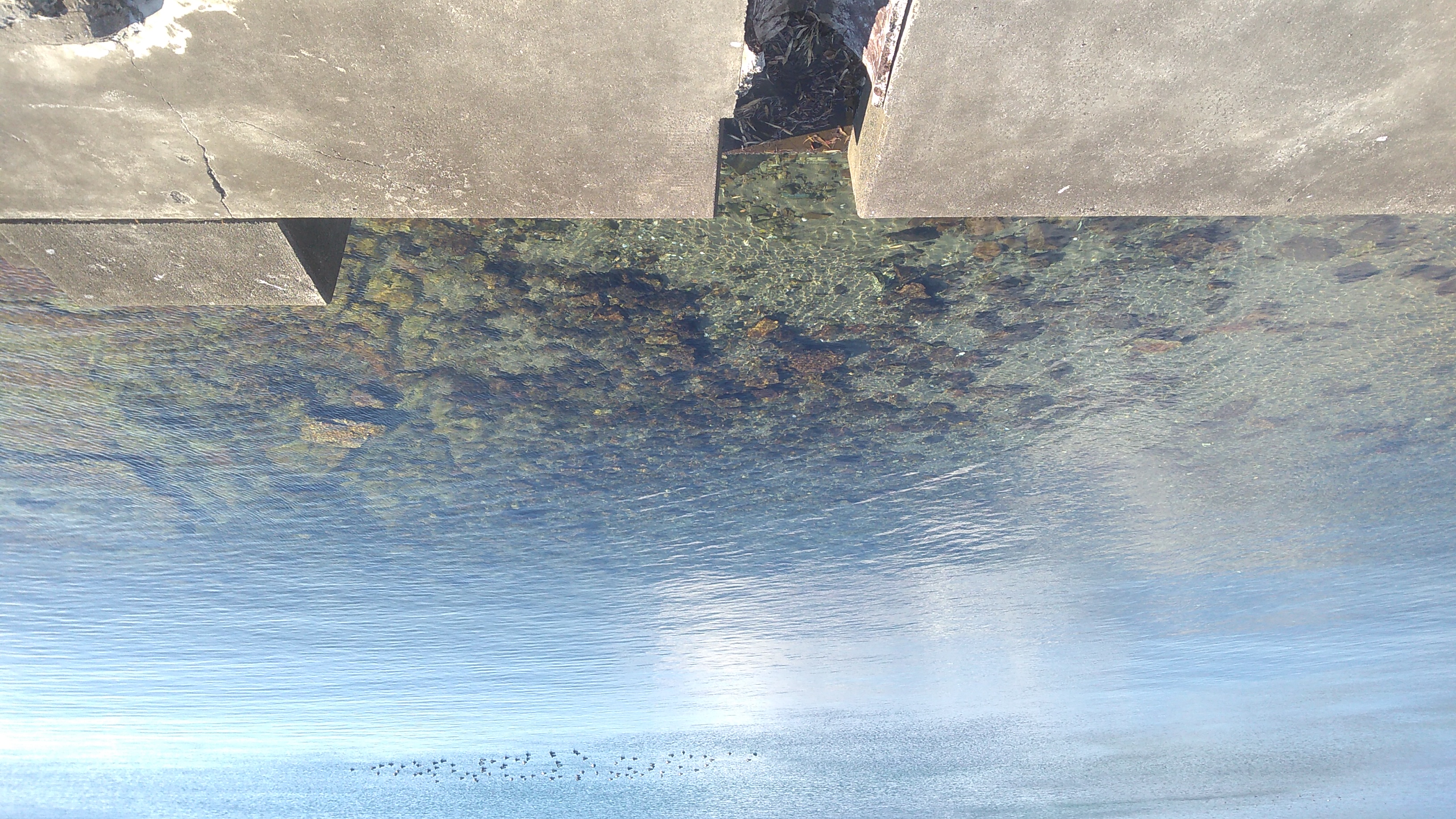 Rocks beneath the clear water of an inlet.