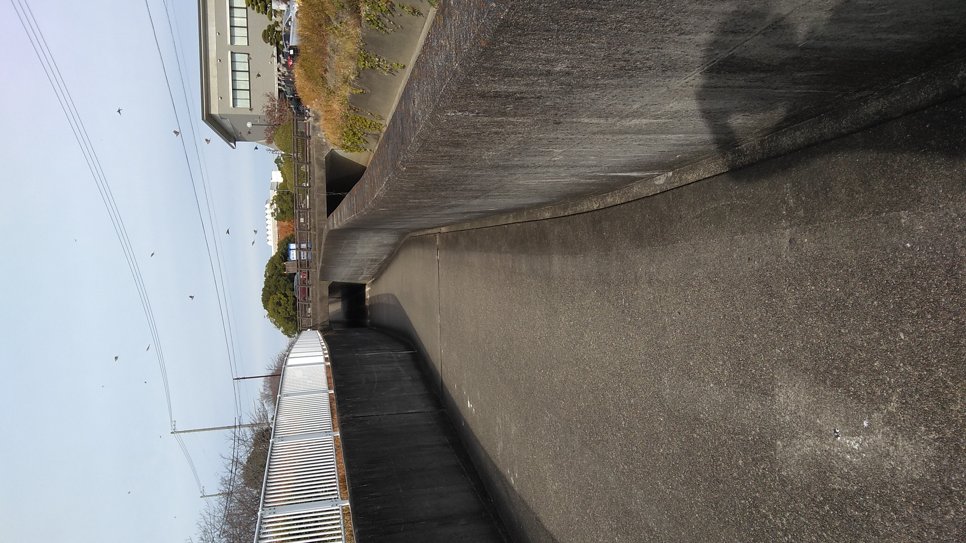 A bicycle-path underpass dipping under a road.