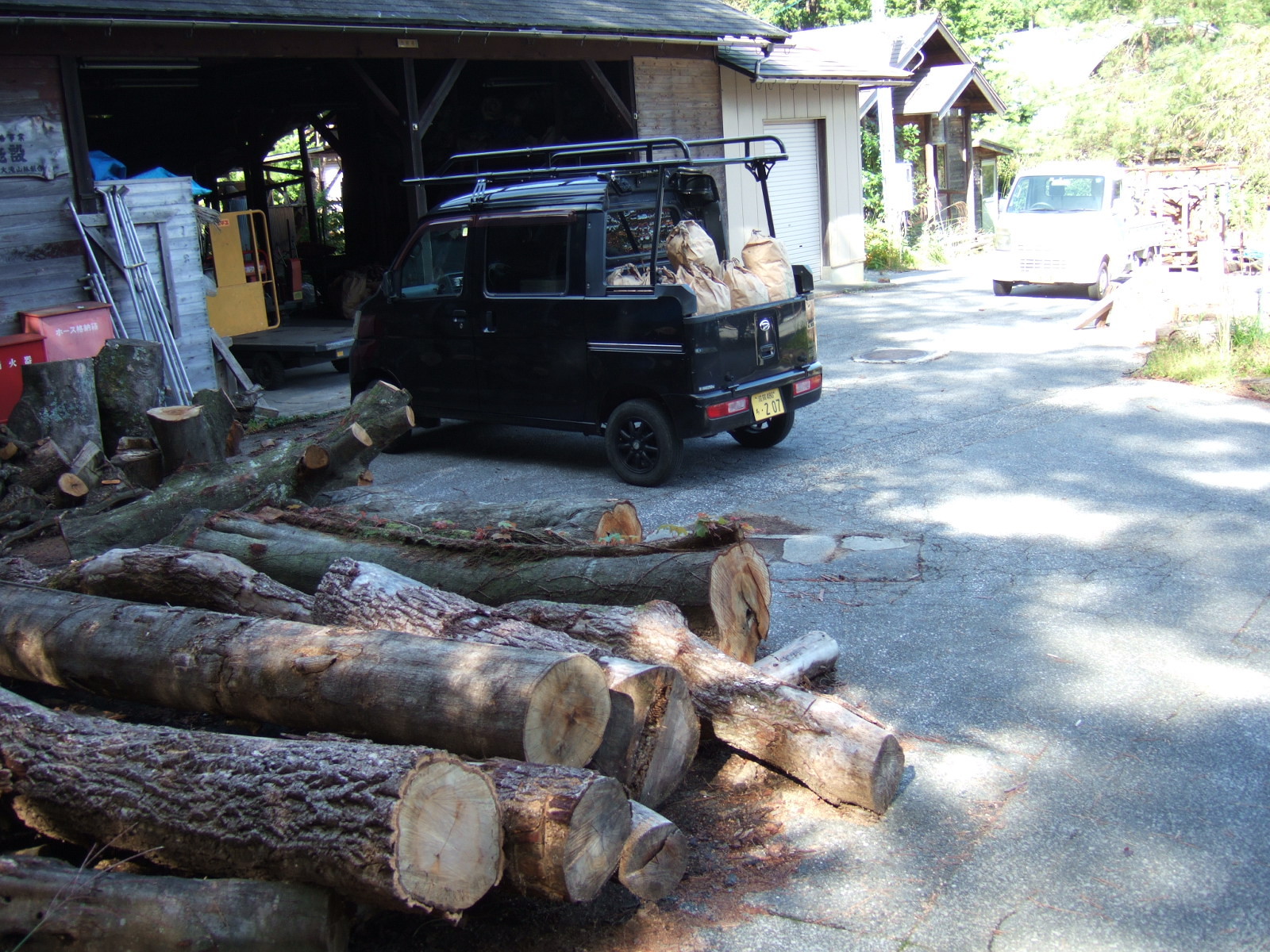 Cut logs are piled in the foreground, and beyond them stands a tiny truck with a crew cab, a luggage rack on its roof, and equipment piled into its small bed.