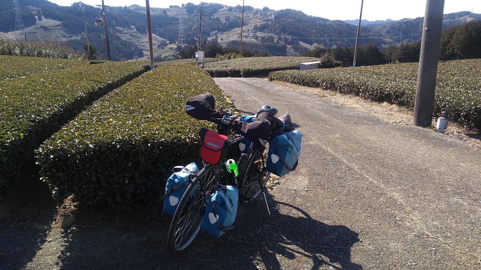 A loaded touring bicycle parked in front of rows of tea bushes with a remote hill of a similar elevation visible in the distance.