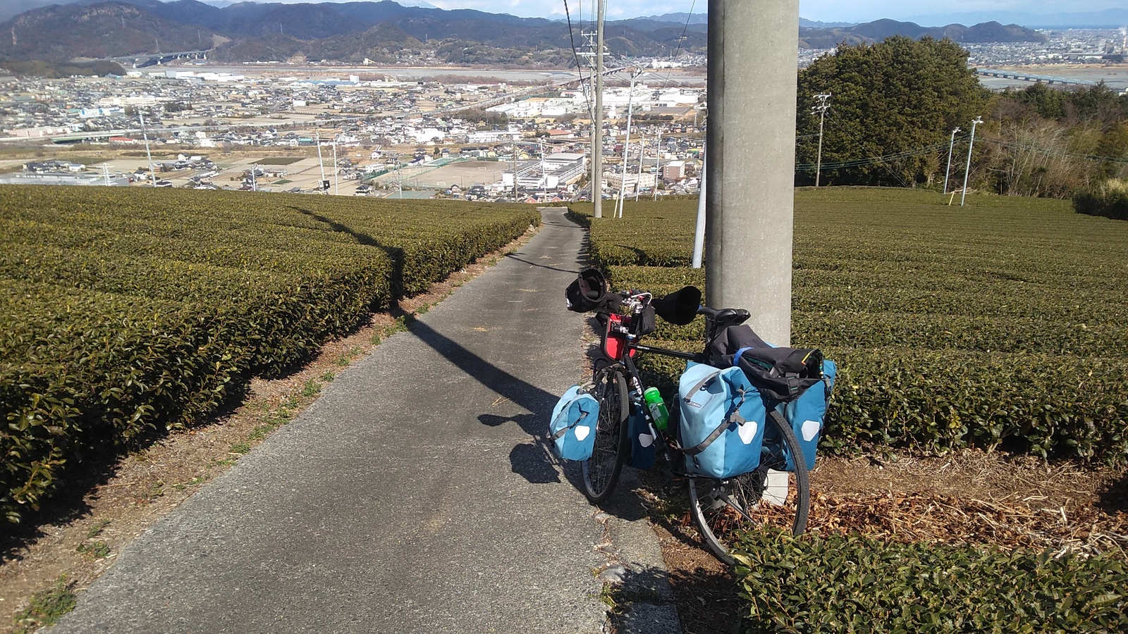 A loaded touring bicycle parked in front of rows of tea bushes, with the buildings of a town visible as tiny structures below.