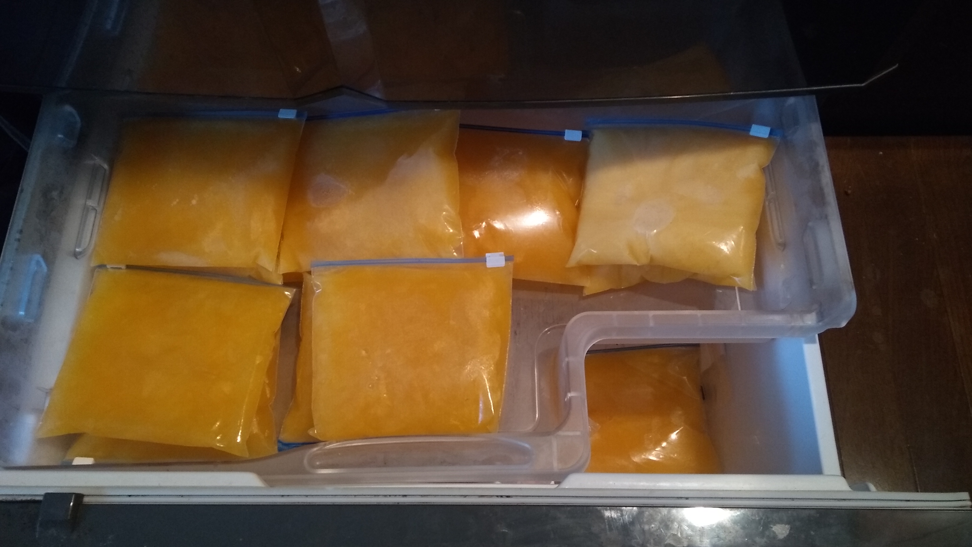 Top view of the top tray of a refrigerator freezer compartment, blanketed entirely in siplock bags filled with frozen shiikuasa juice.